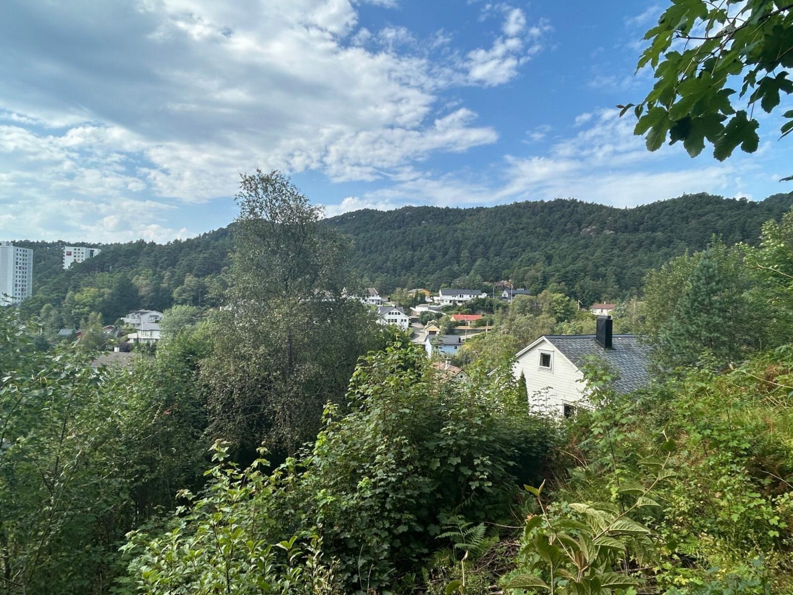 Foto tatt fra tomten Galleribilde