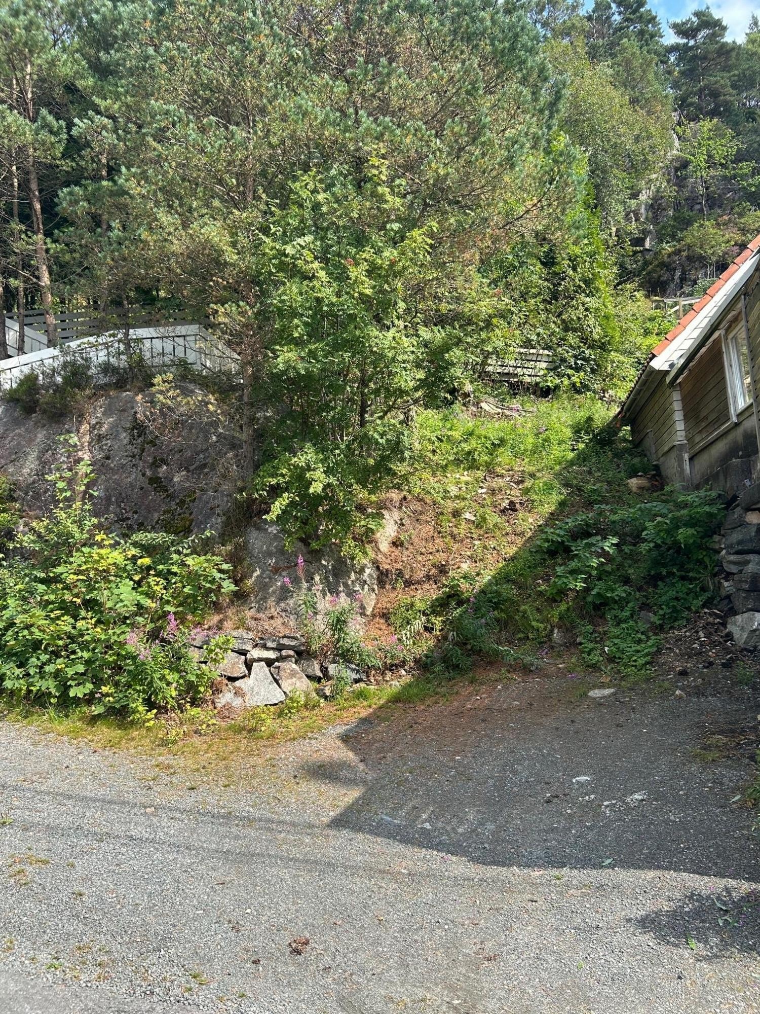 Adkomst tomt / parkering Galleribilde