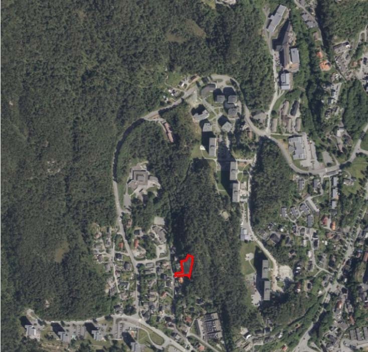 Tomten grenser inn mot grøntområde i bakkant. Galleribilde