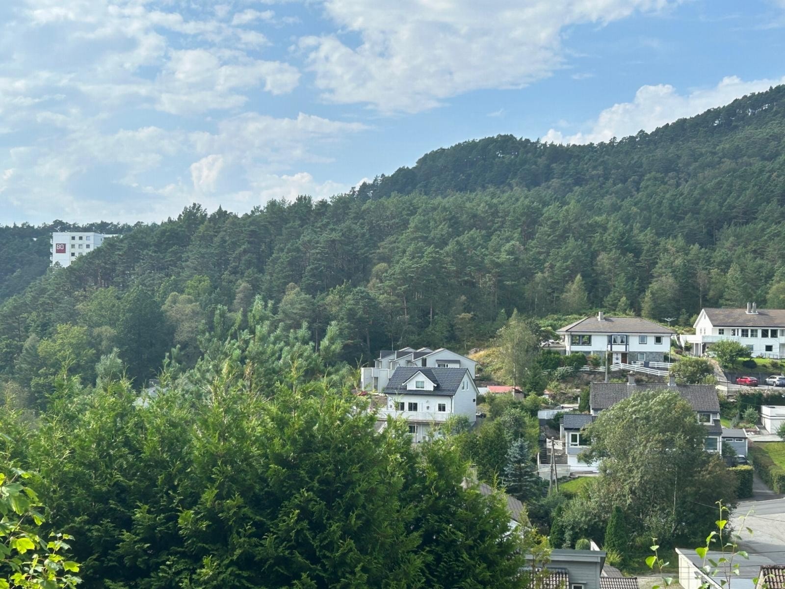 Foto tatt fra tomten Galleribilde