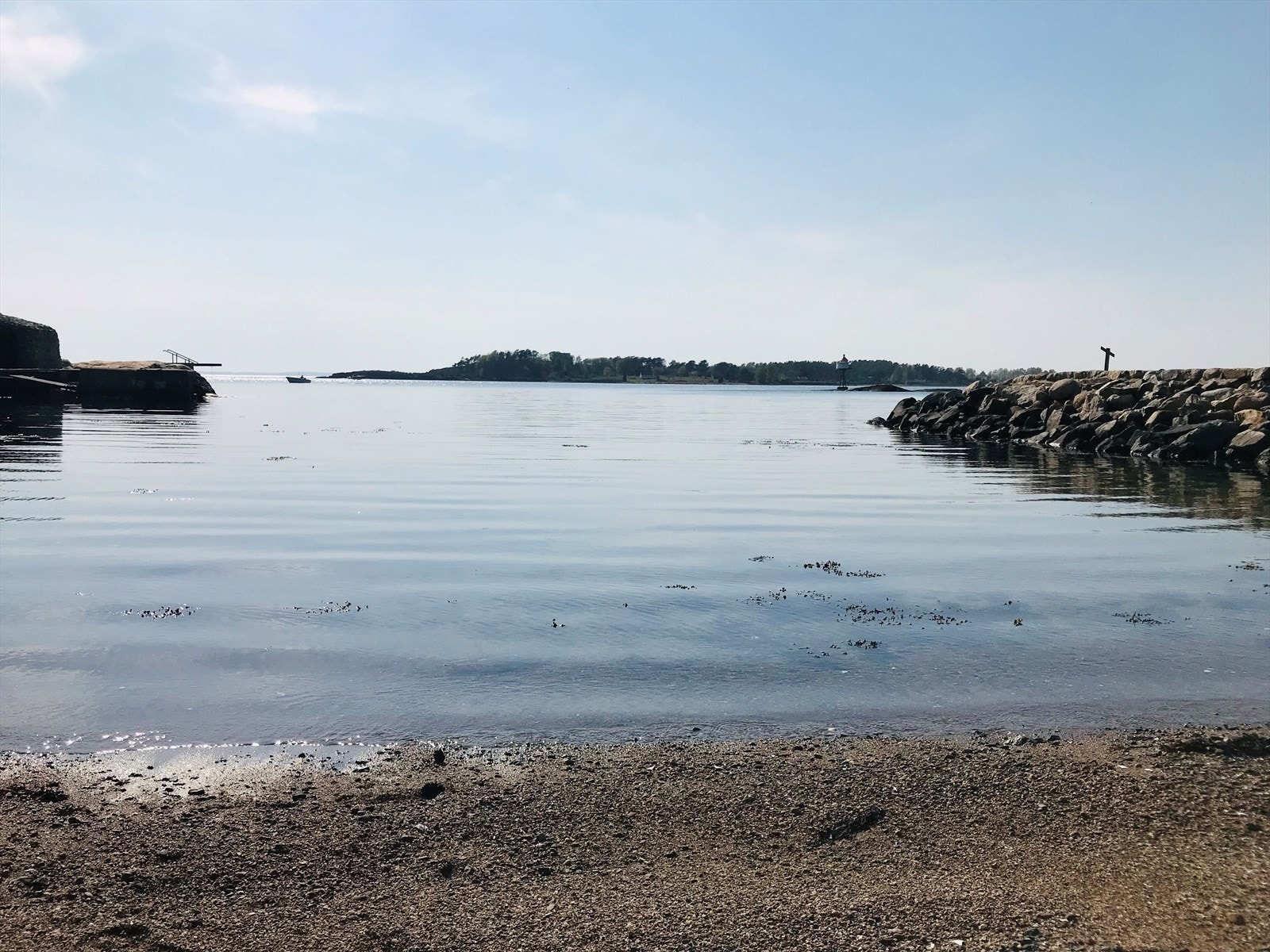 Selgers foto av duestranda Galleribilde