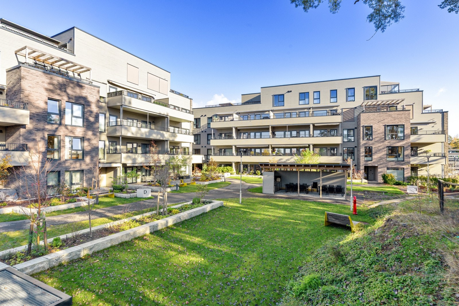 Pent opparbeidet bakgård Galleribilde