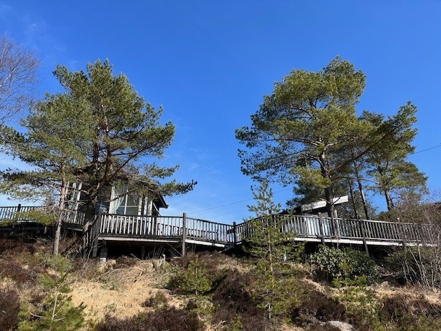 Velkommen til Birkeland 11. Galleribilde