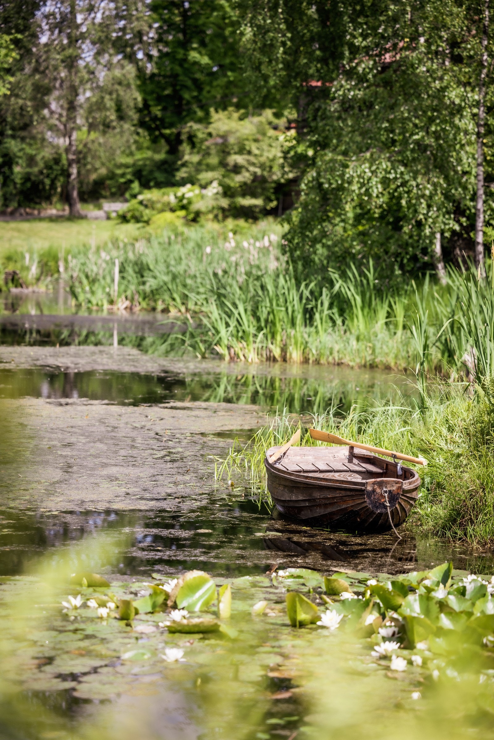 En sjelden anledning!