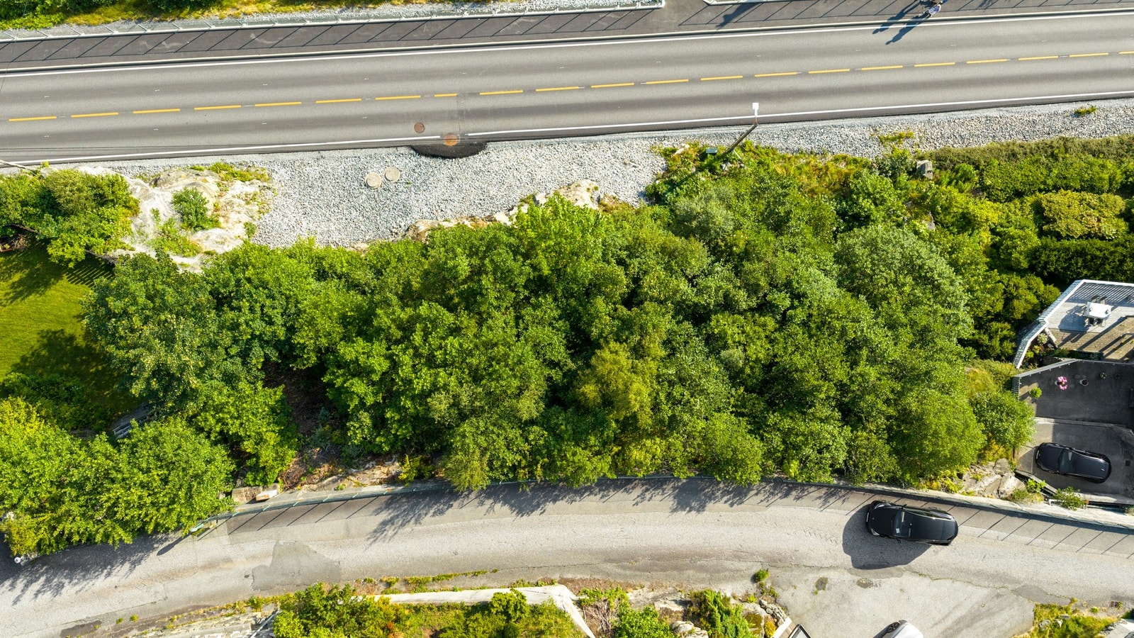 Overblikk over tomten. Galleribilde