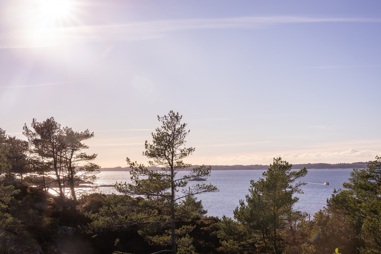 Koselig å kunne følge skips og småbåtrafikken på nært hold. Galleribilde