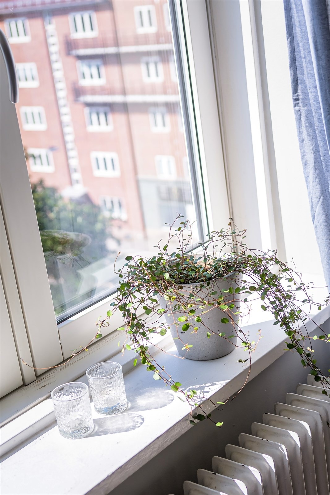 Vinduene er fra 2017. Galleribilde