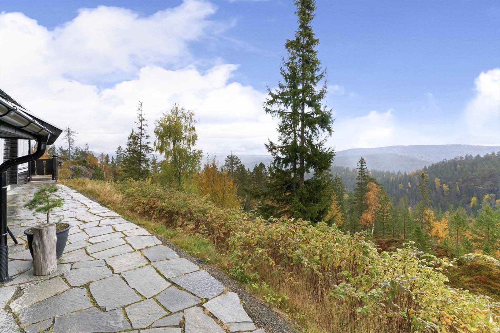 Her har du umiddelbar nærhet til fantastiske naturopplevelser - både sommer og vinter. Galleribilde
