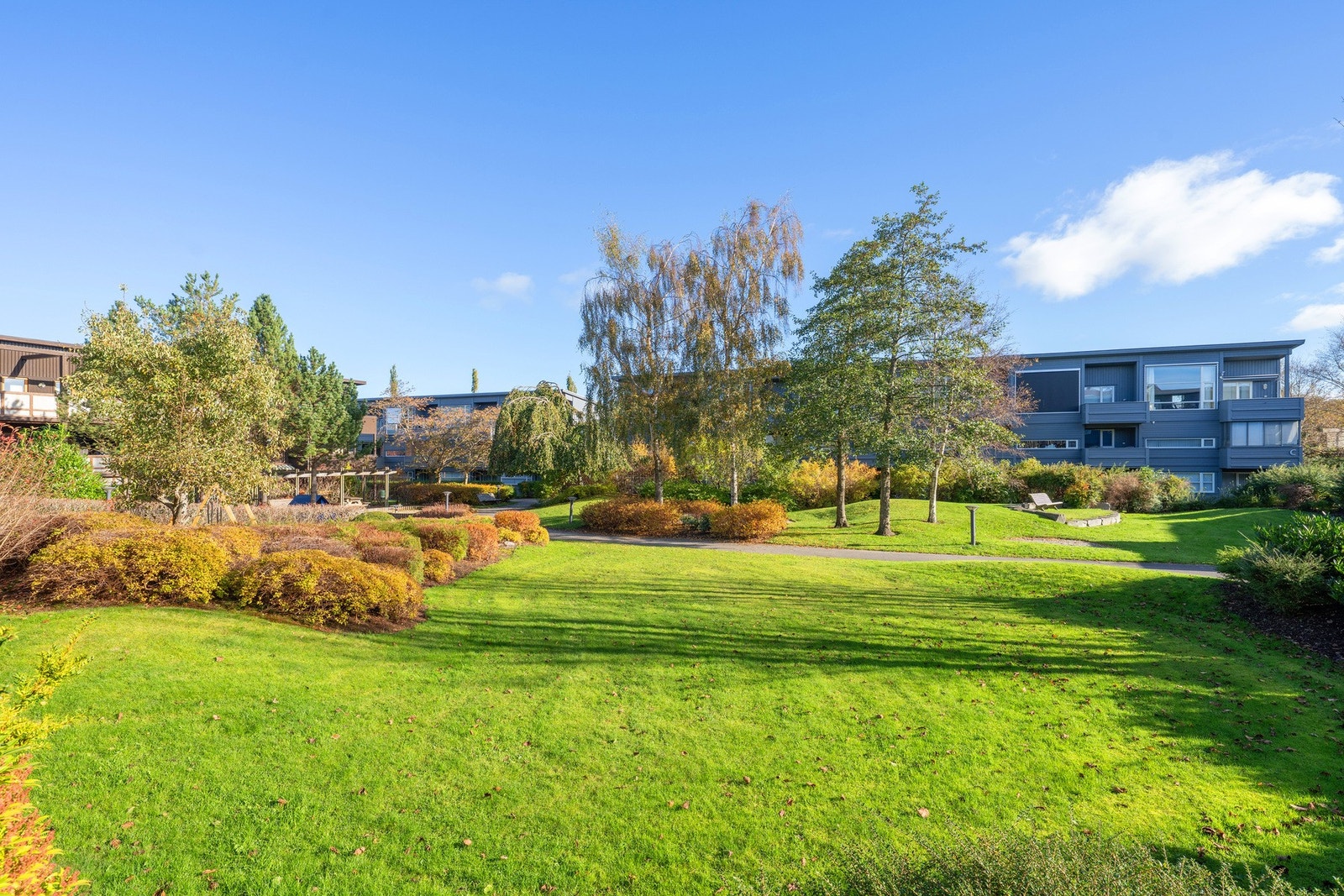 På solrike dager kan man fint legge seg ut på den fine felles plenen til sameiet Galleribilde