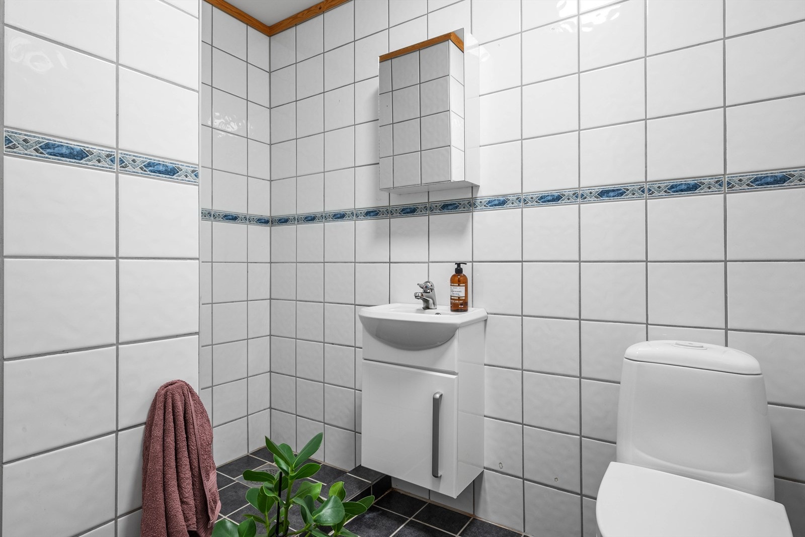 Adskilt bad/toalettrom Galleribilde