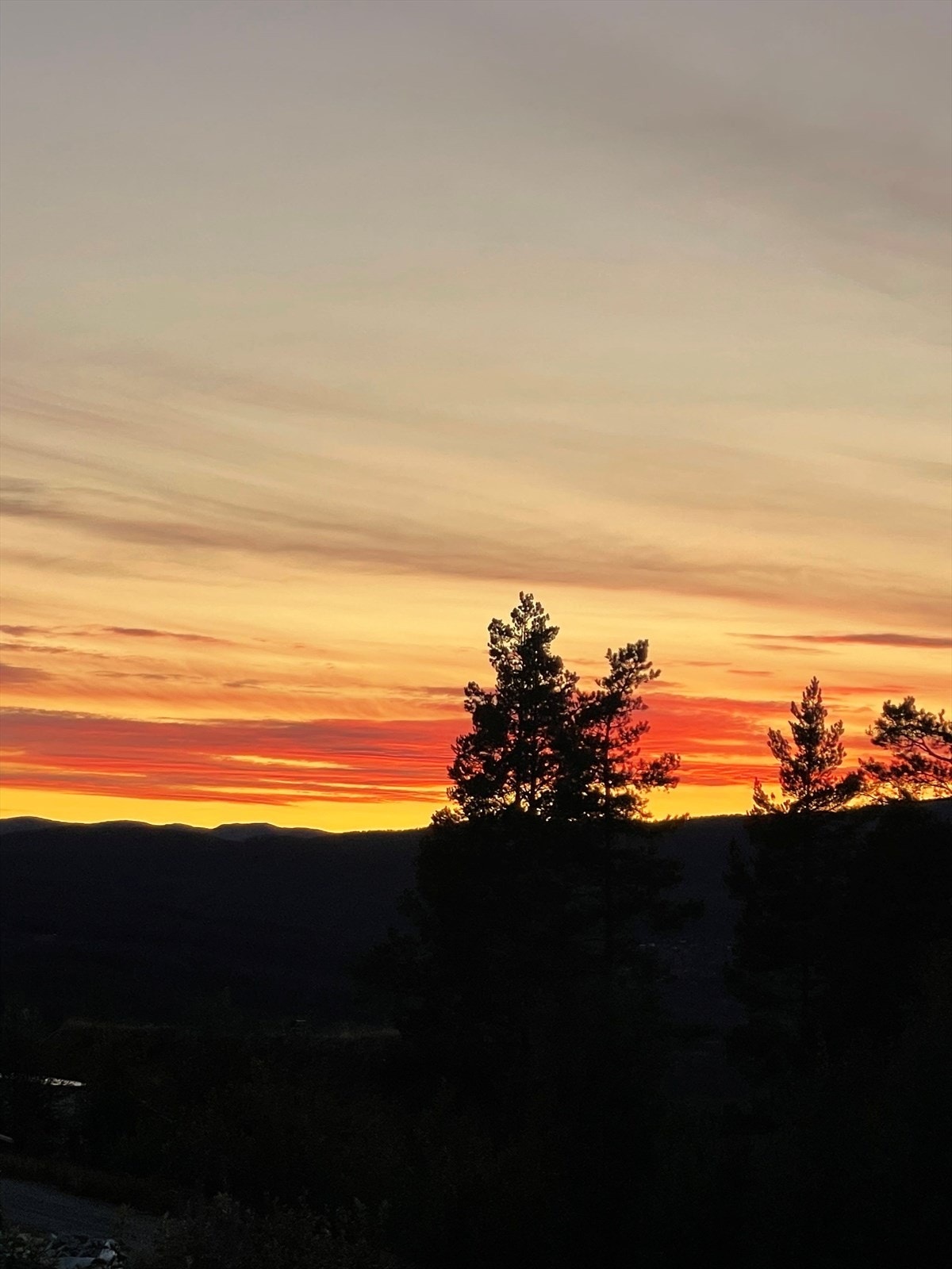 (Selgers private bilde) Galleribilde