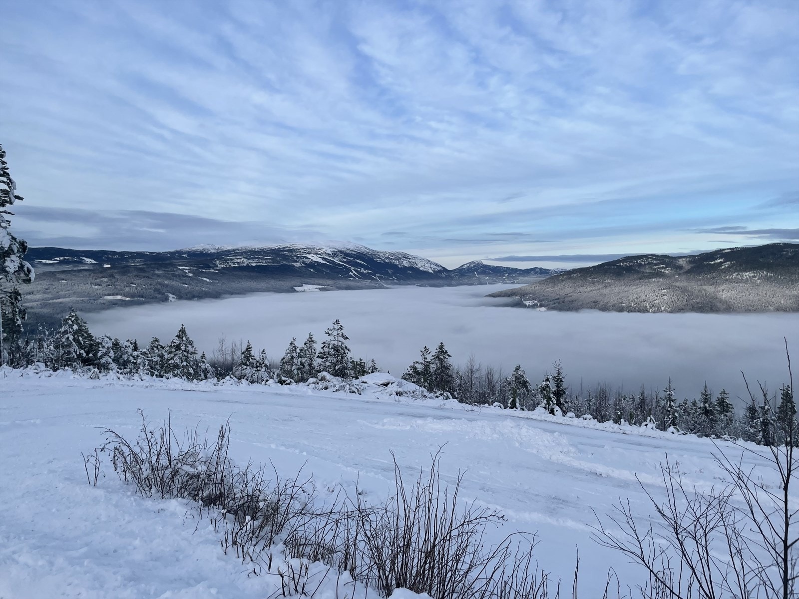 (Selgers private bilde) Galleribilde