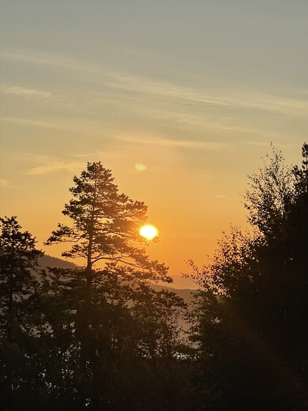 (Selgers private bilde) Galleribilde