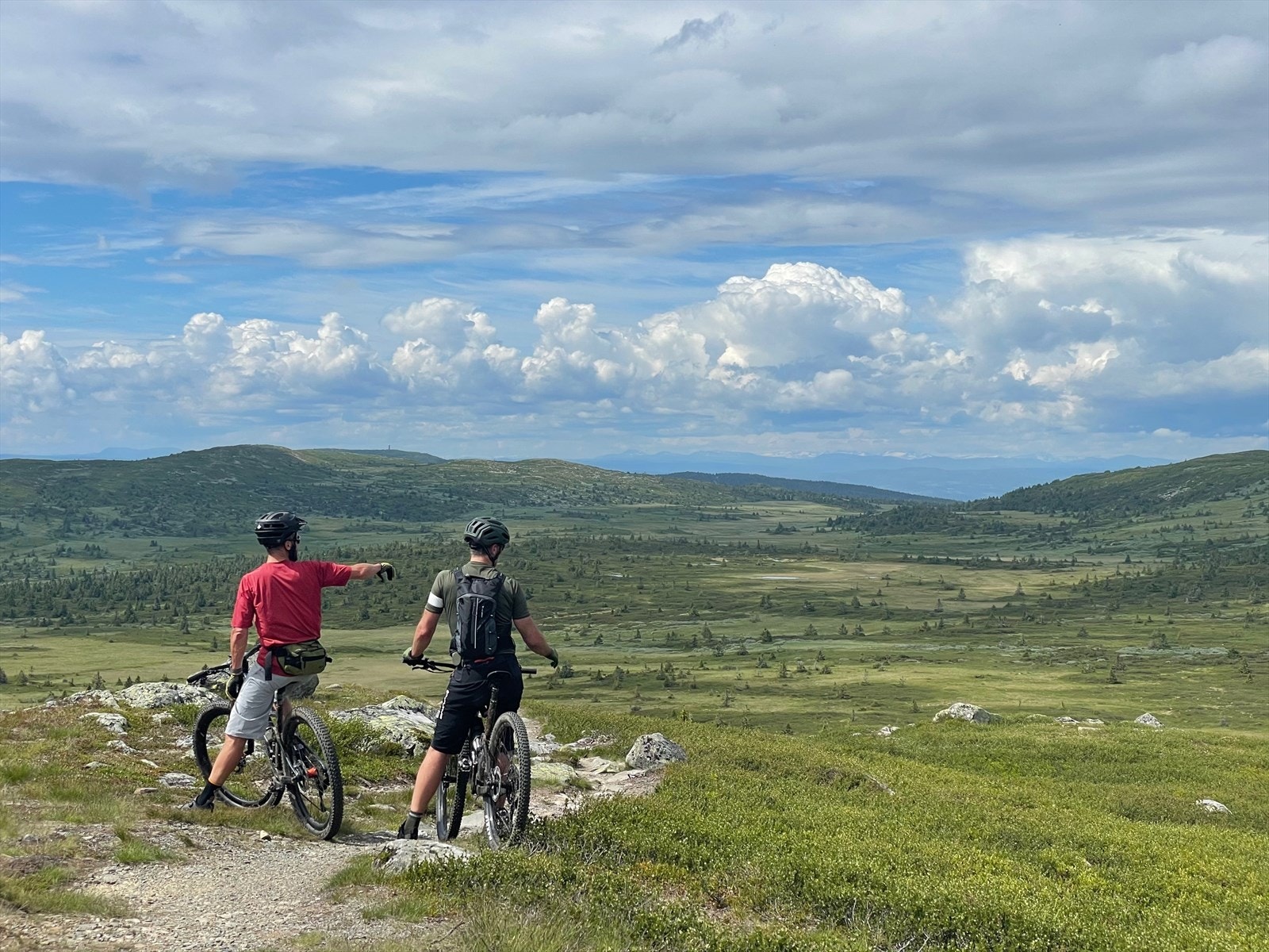 Sommeraktiviteter Galleribilde