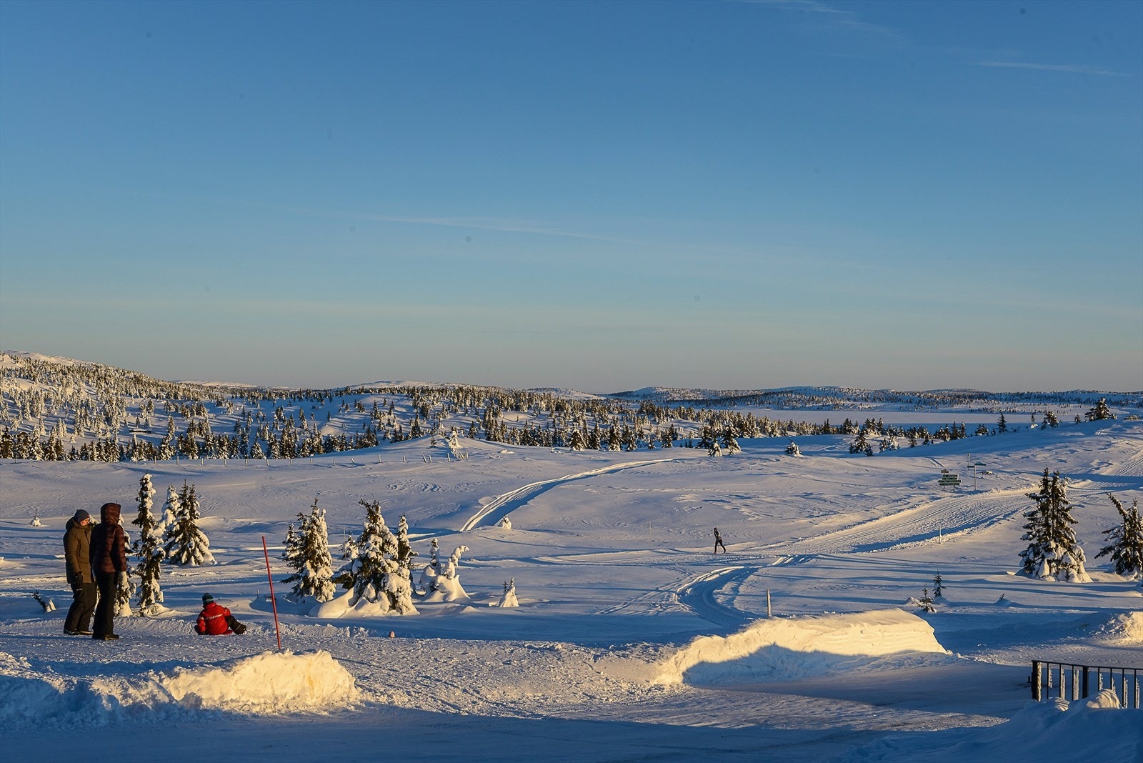 Vinterbilder Galleribilde