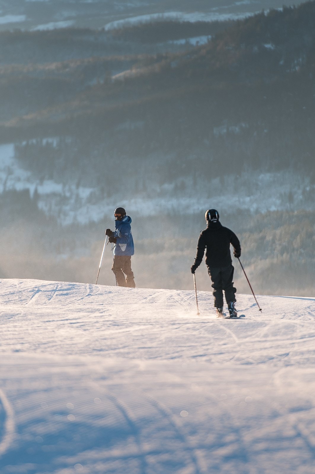 Vinterbilder Galleribilde