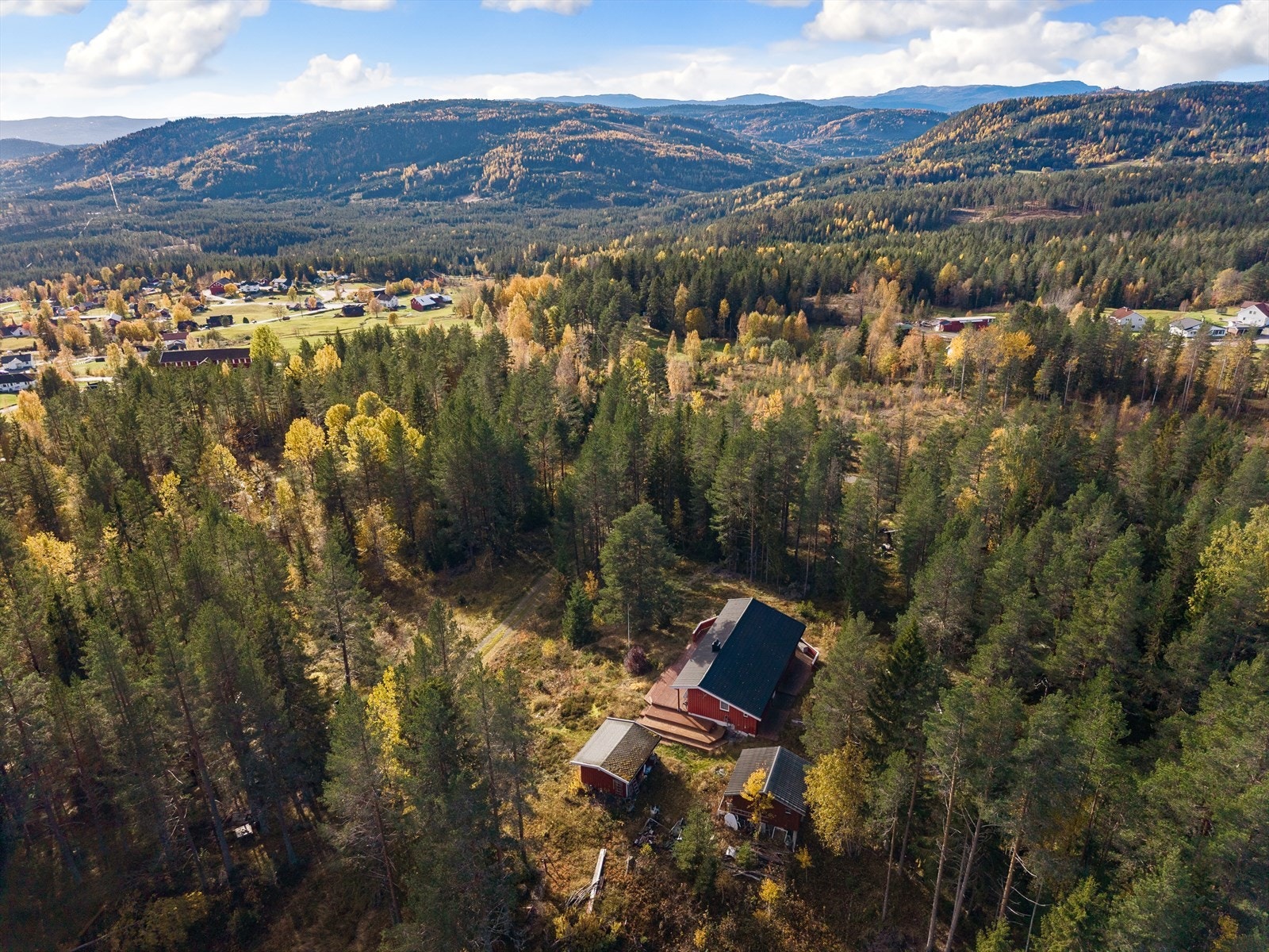 Nærområdet. Galleribilde