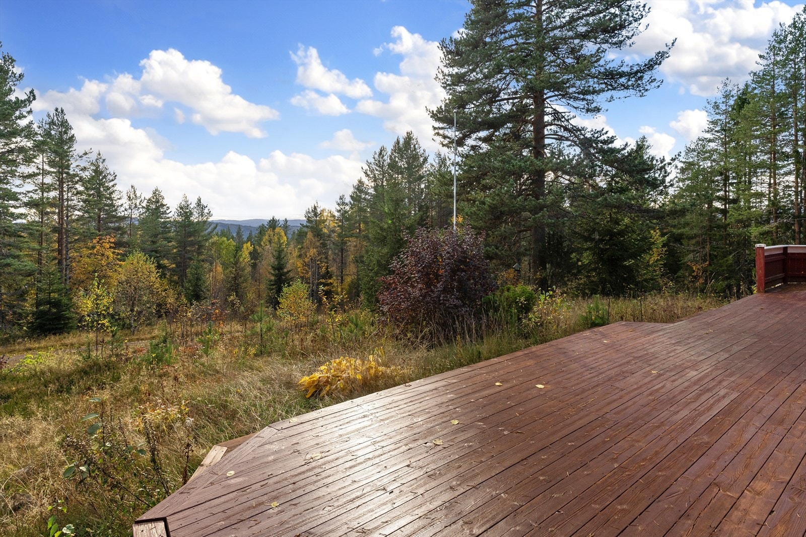 Hytta har en skjermet beliggenhet. Galleribilde