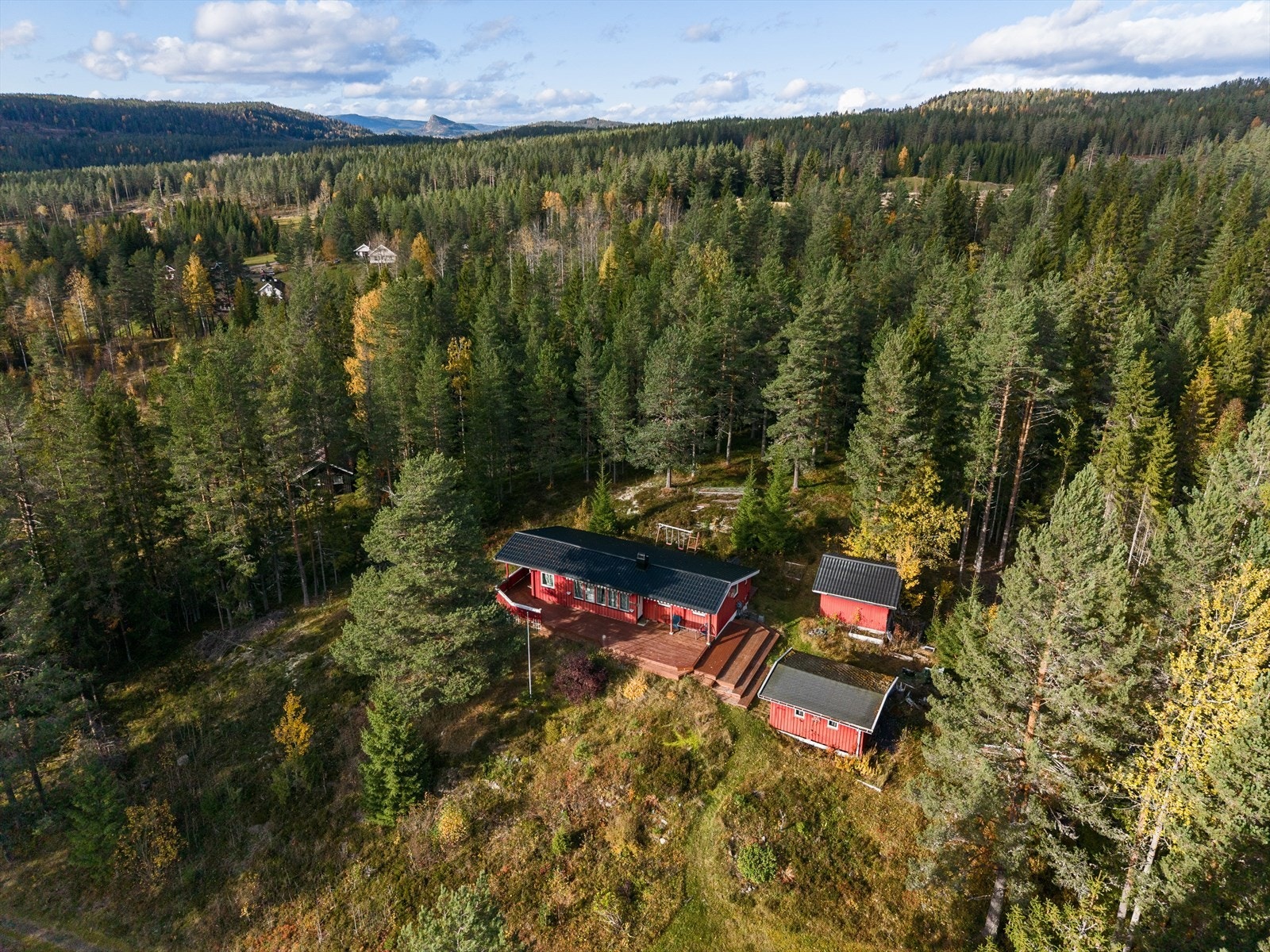 Nærområdet. Galleribilde