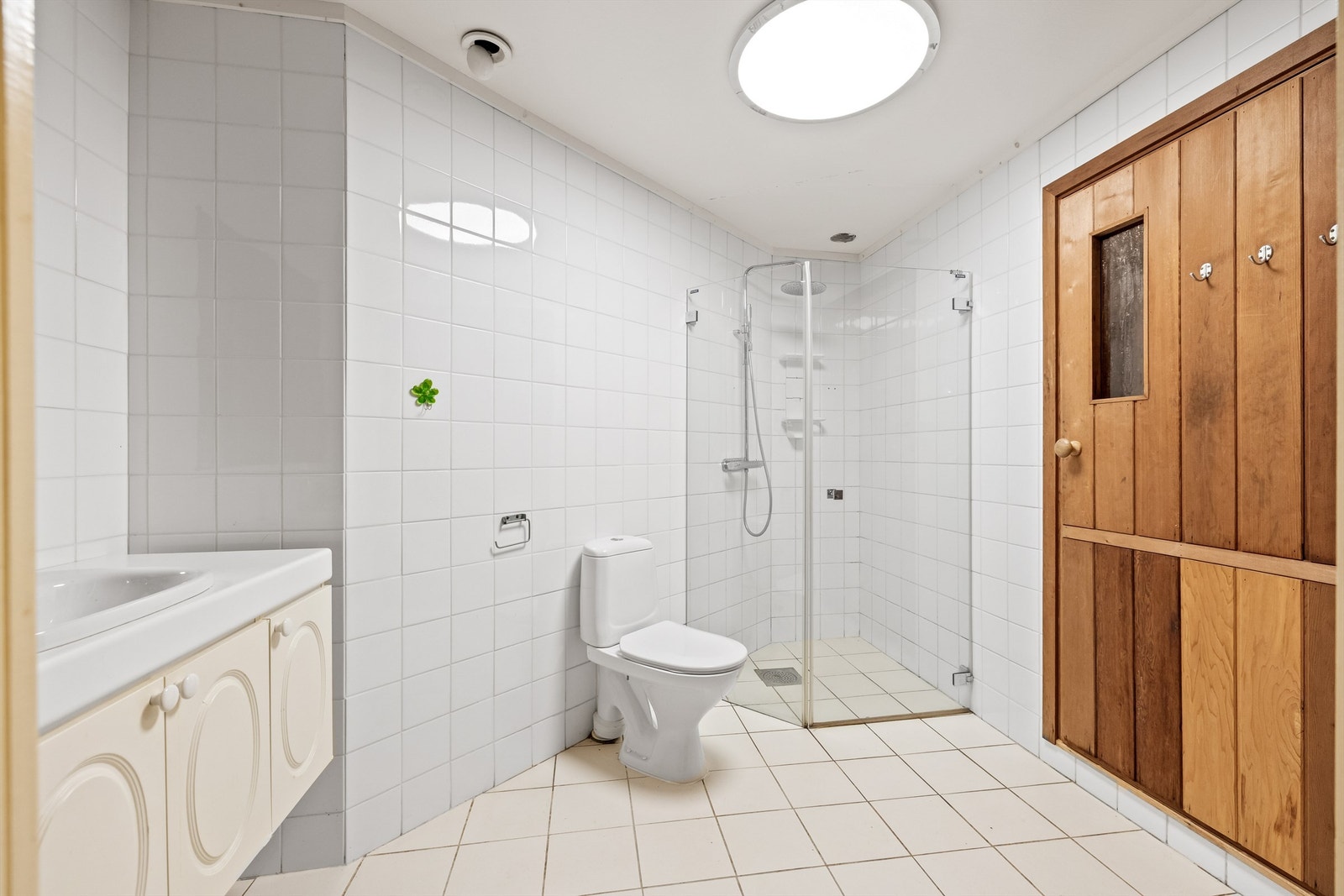 Bad med tilkomst til badstue Galleribilde