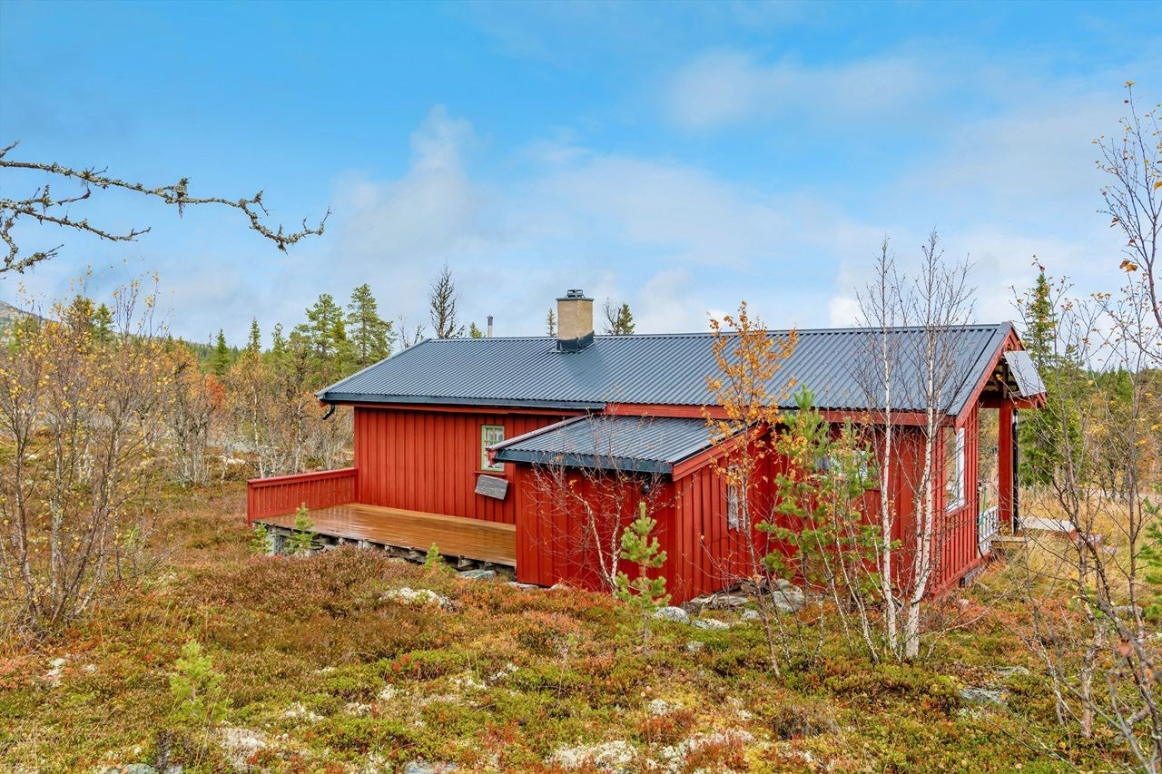 Området byr på skiløyper, med nærmeste løype et lite steinkast unna. Galleribilde