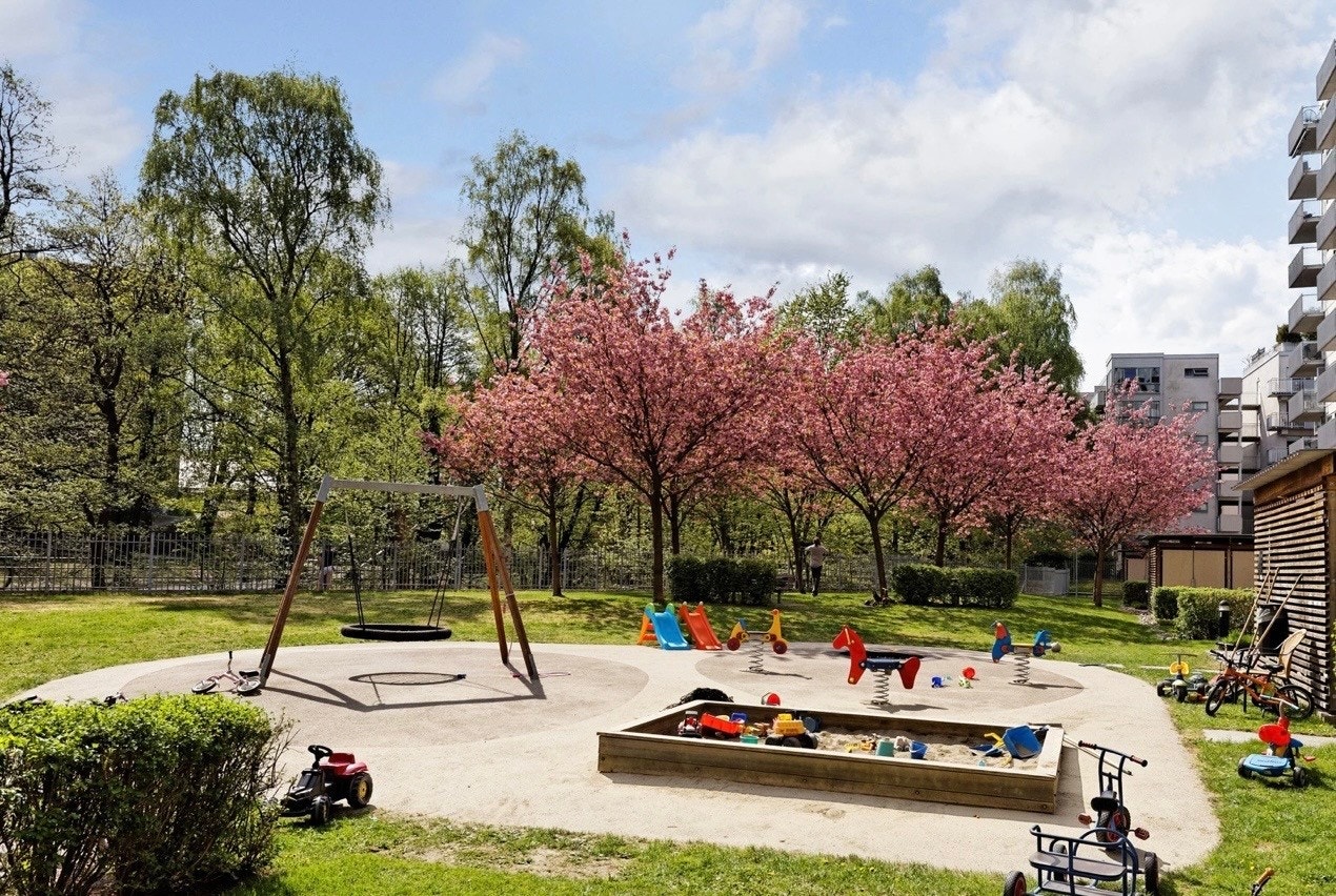 Om våren blomstrer japanske kirsebærtrær som farger den nydelige felleshagen rosa. Galleribilde