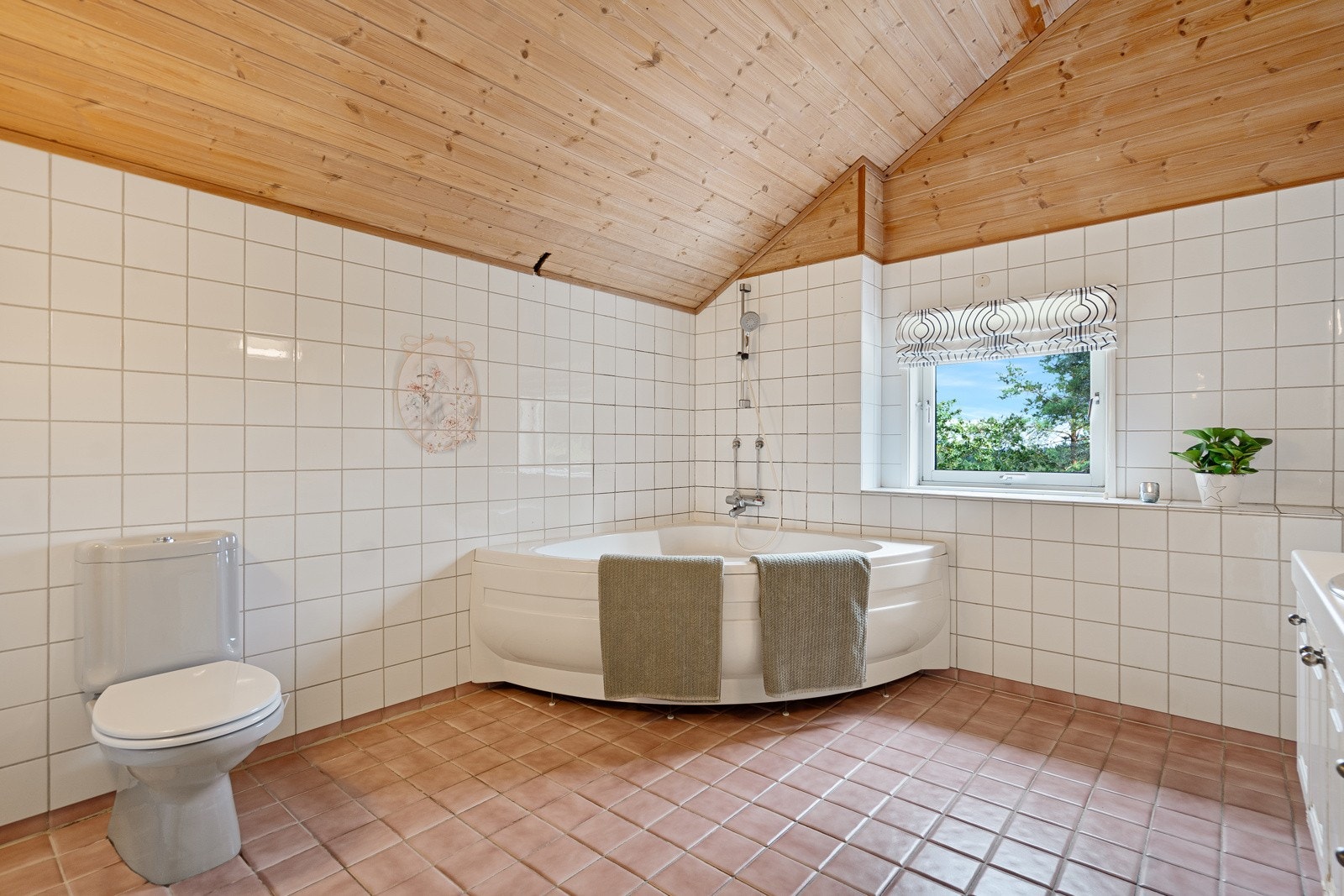 Badet har behov for oppussing/renovering Galleribilde