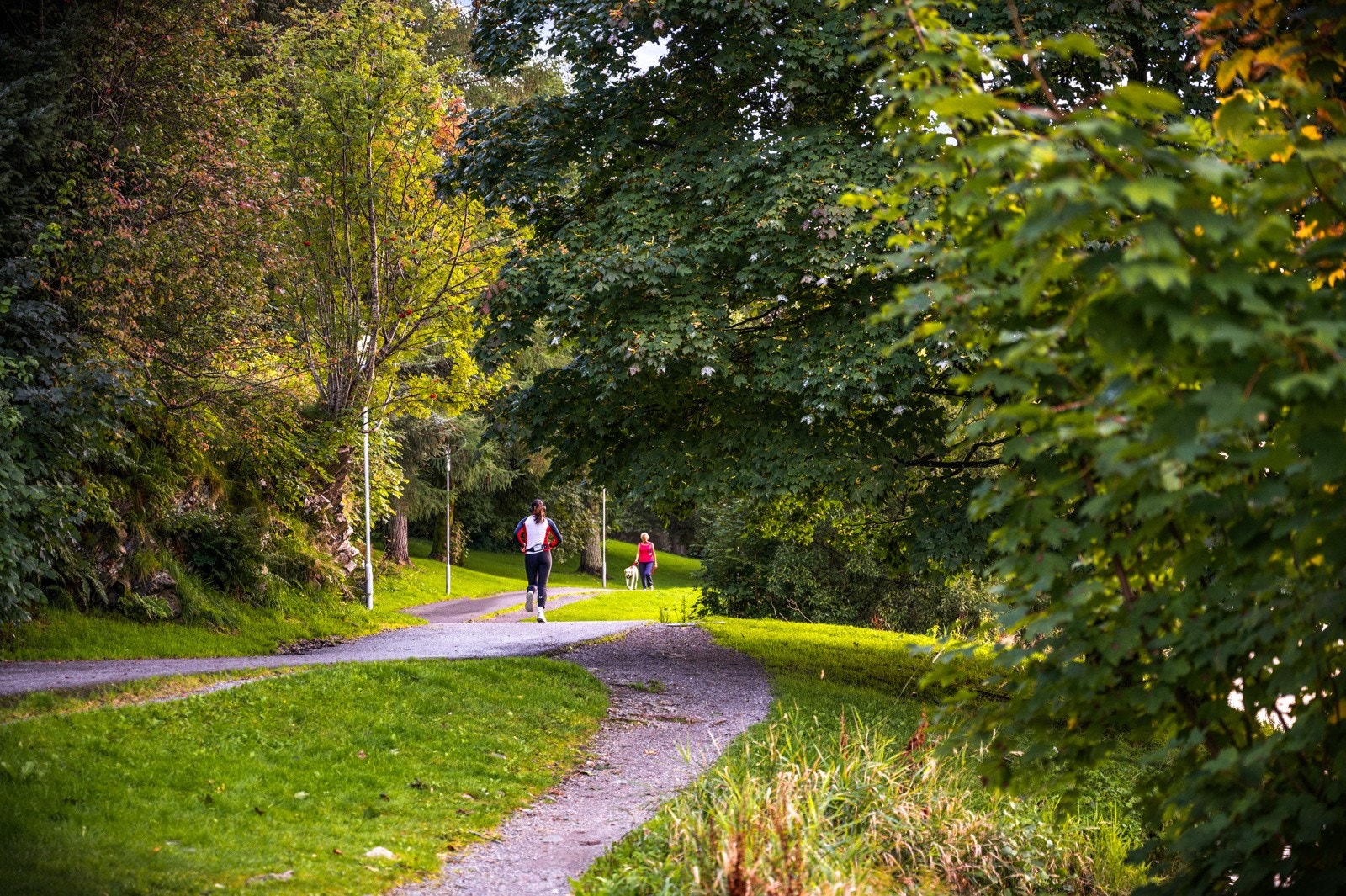Tveitevannet er heller ikke langt unna boligen, og er et eldorado for trimmere og barnefamiler. Galleribilde