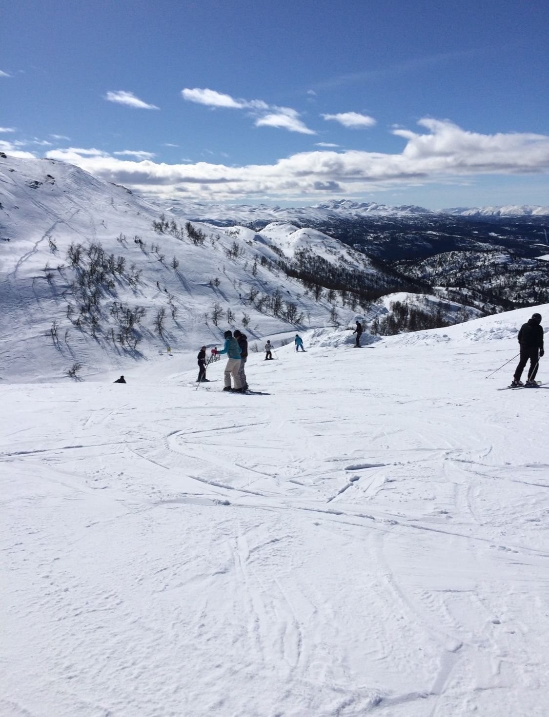 Alpinbakker med flere heistrekk. Galleribilde