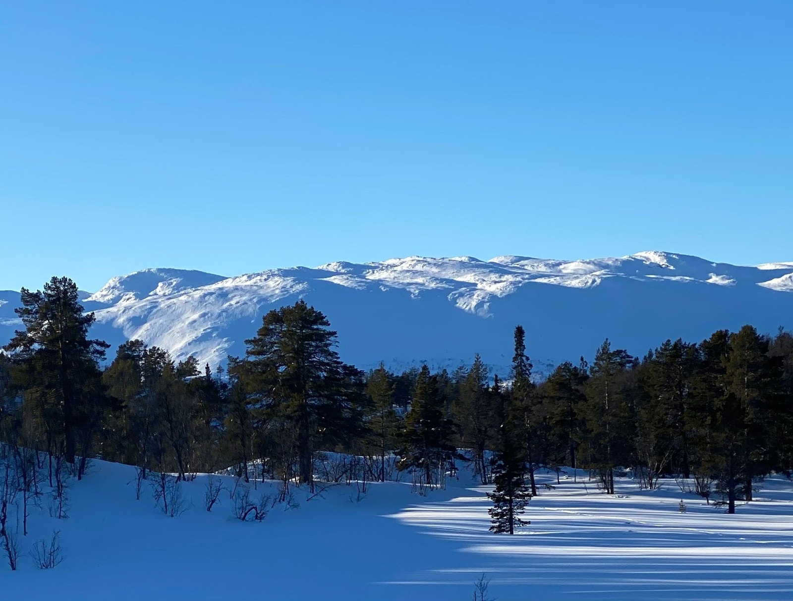 Nydelig turterreng! Galleribilde