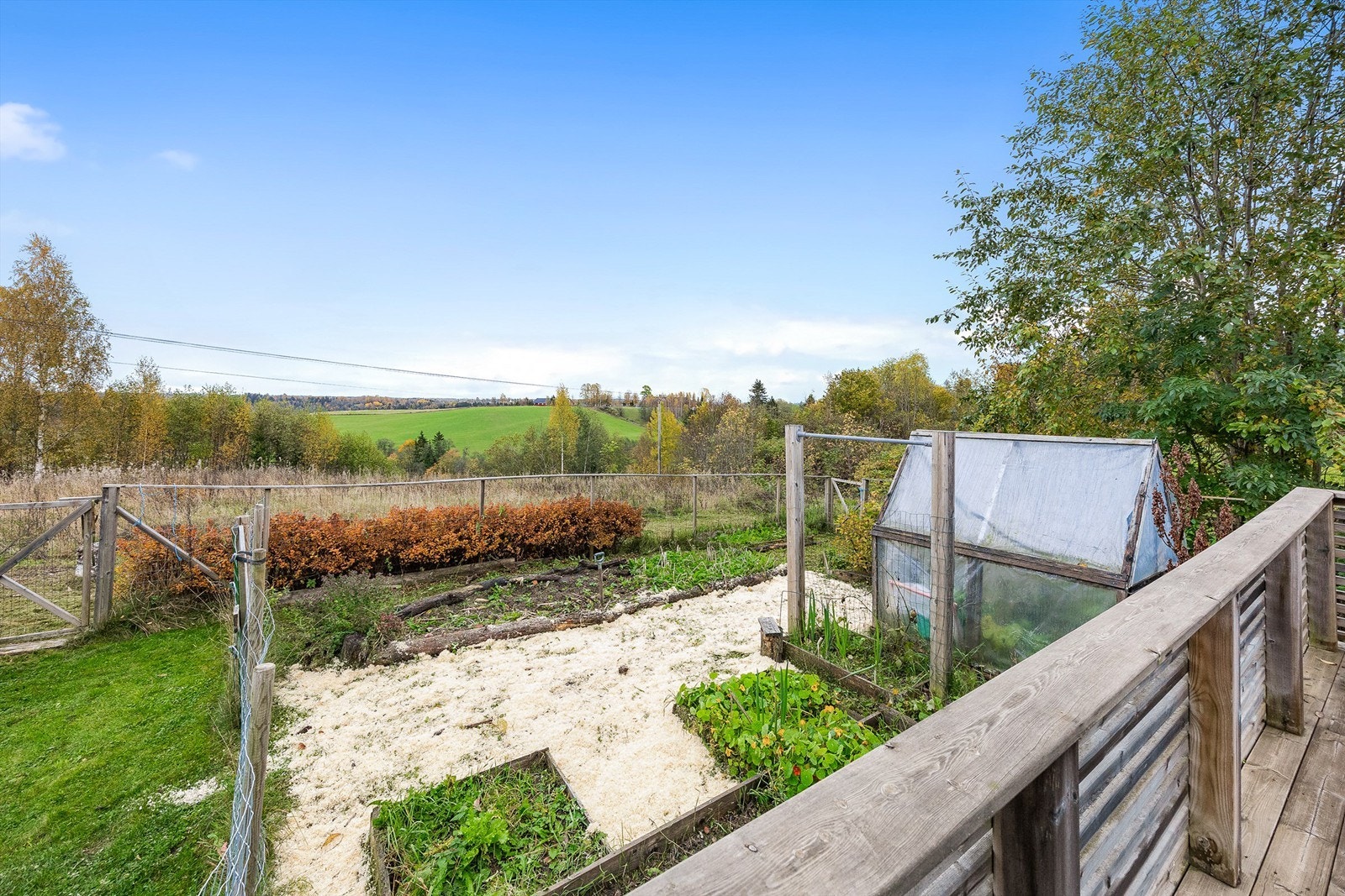 I grønnsakshagen har du muligheter til å dyrke det som måtte ønskes. Galleribilde