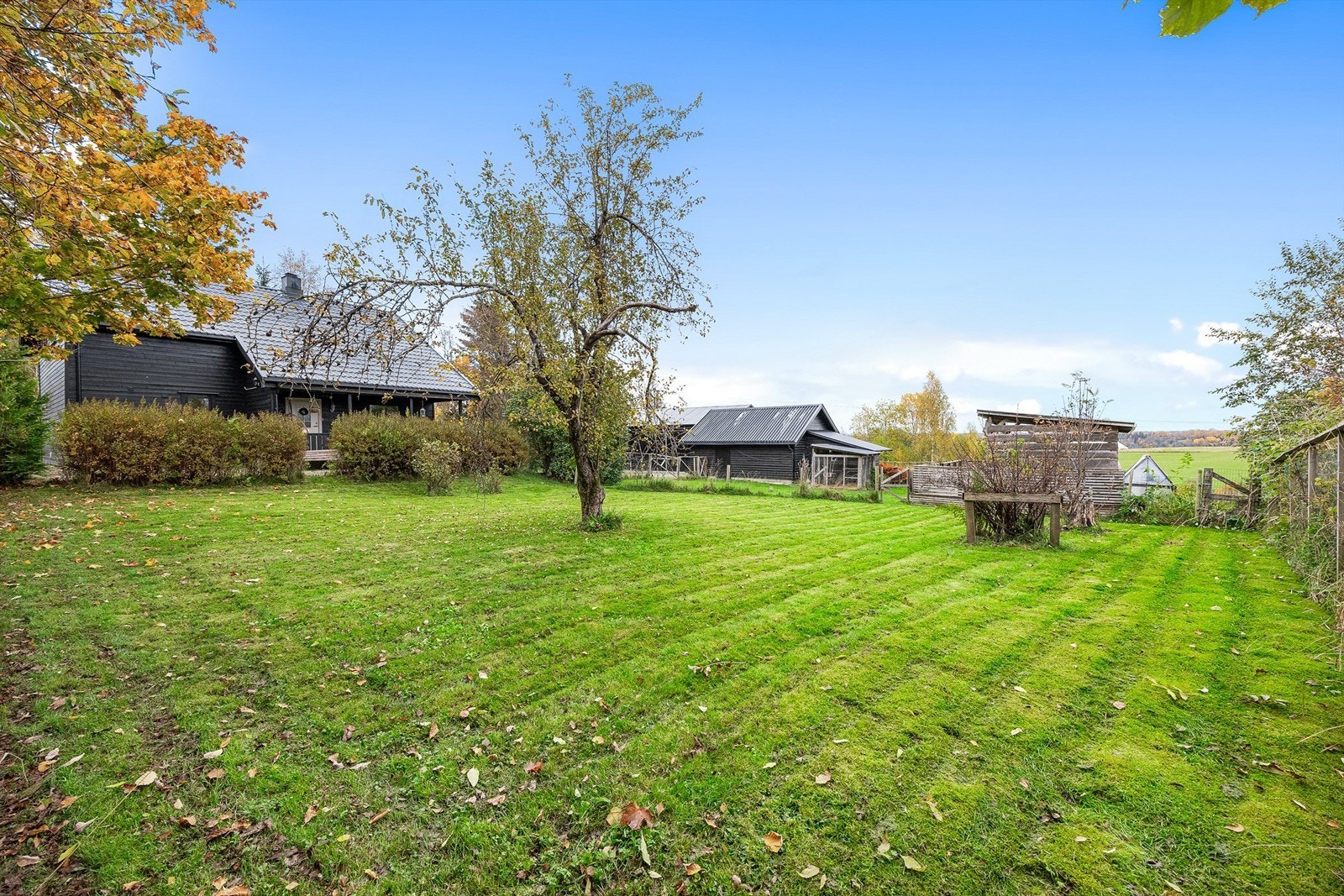 Stor gressplen hvor man kan la de firbeinte husdyr løpe fritt! Galleribilde