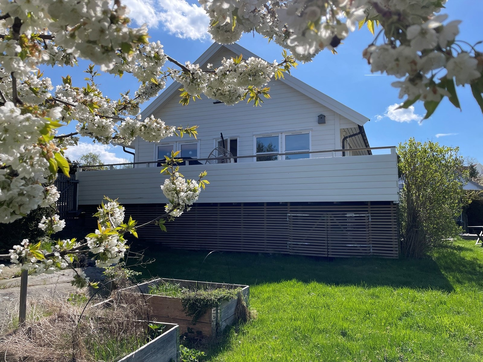 Selgers bilde. Galleribilde