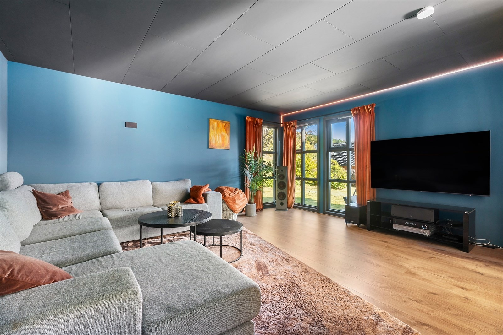 Stor tv-stue Galleribilde