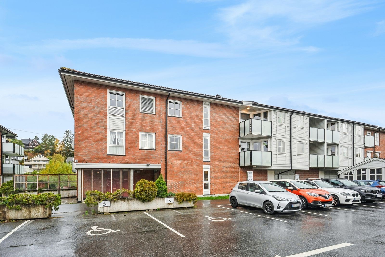 Rastafaret 6 Galleribilde