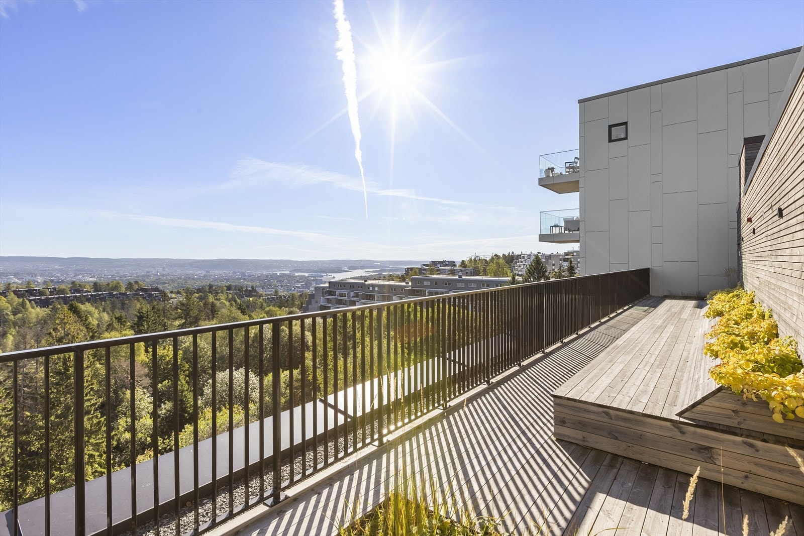 Takterrassen har flere sittegrupper, rikelig med beplantning, samt svært gode sol- og utsiktsforhold Galleribilde