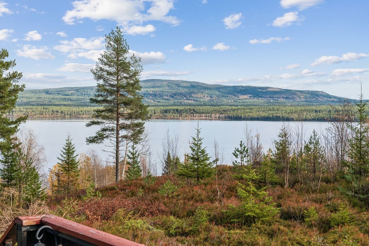 Nyt nærheten til Osensjøen med badeplasser som Playa Sjøenden, kun 10 minutter unna. Galleribilde