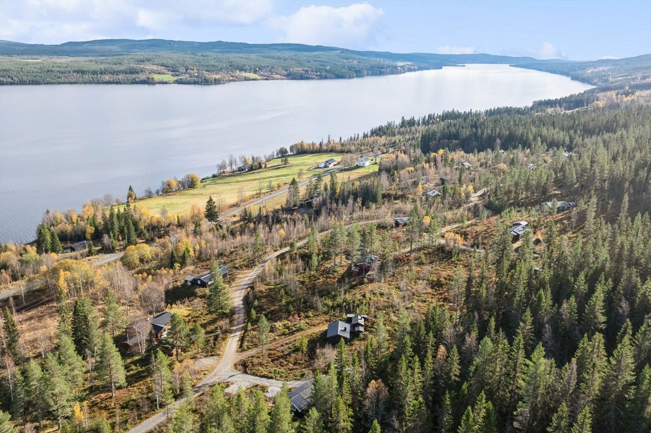 Området byr på et aktiviteter som bl. a. diskgolfbane, bading, småbåthavn, langrennsløyper og alpinanlegg (Furutangen og Trysilfjellet). Galleribilde