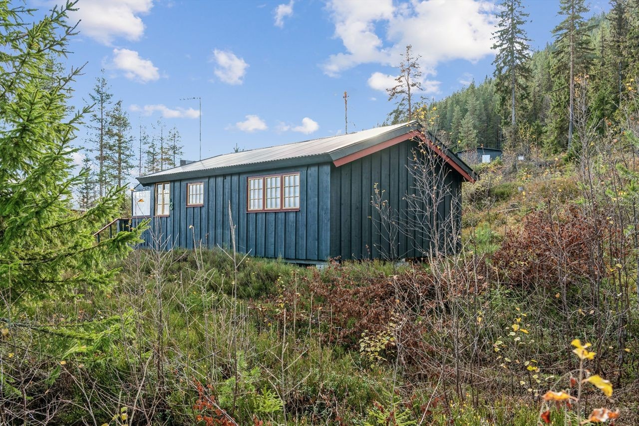 Koselig hytte med standard fra byggeåret 1977-78, bruttoareal på 32 m². Yttervegger i bindingsverk med utvendig bordkledning. Galleribilde