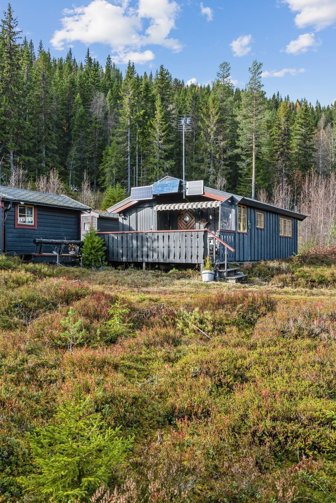 Velkommen til visning ! Galleribilde