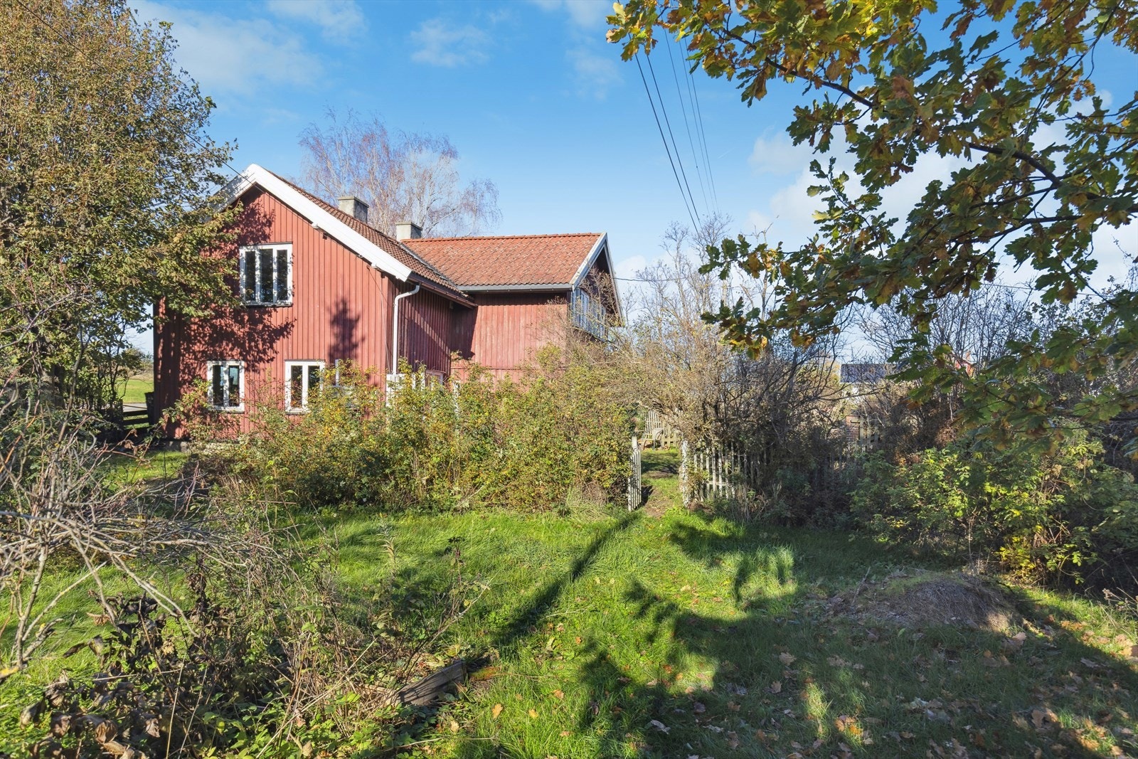 Flott hage med plen og diverse beplantning. Galleribilde