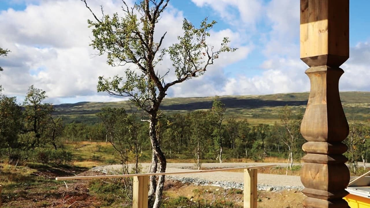 Utsikt fra en ferdig hytte Galleribilde
