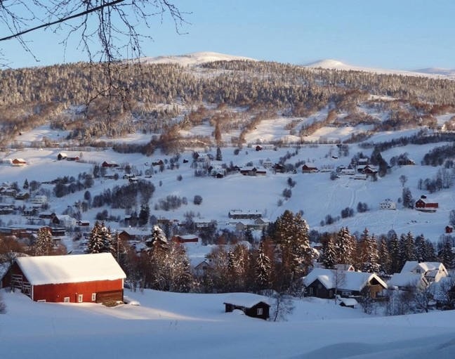Ålen sentrum Galleribilde
