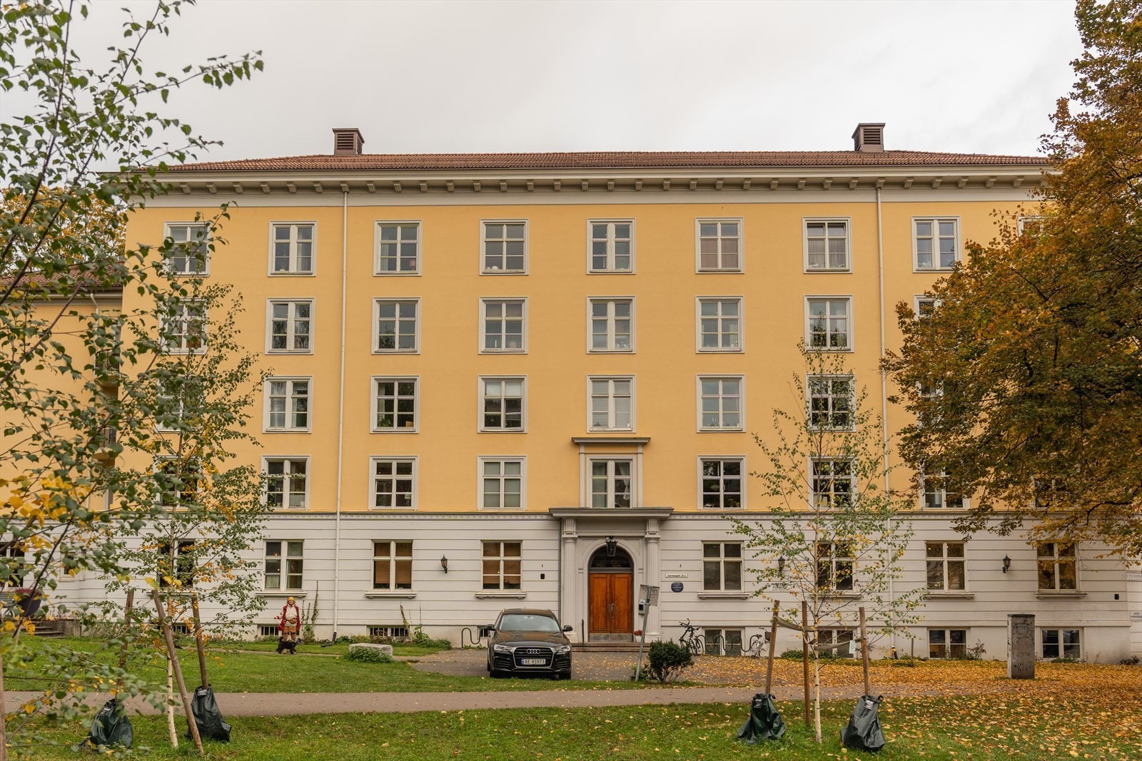 ds-18.jpg Galleribilde