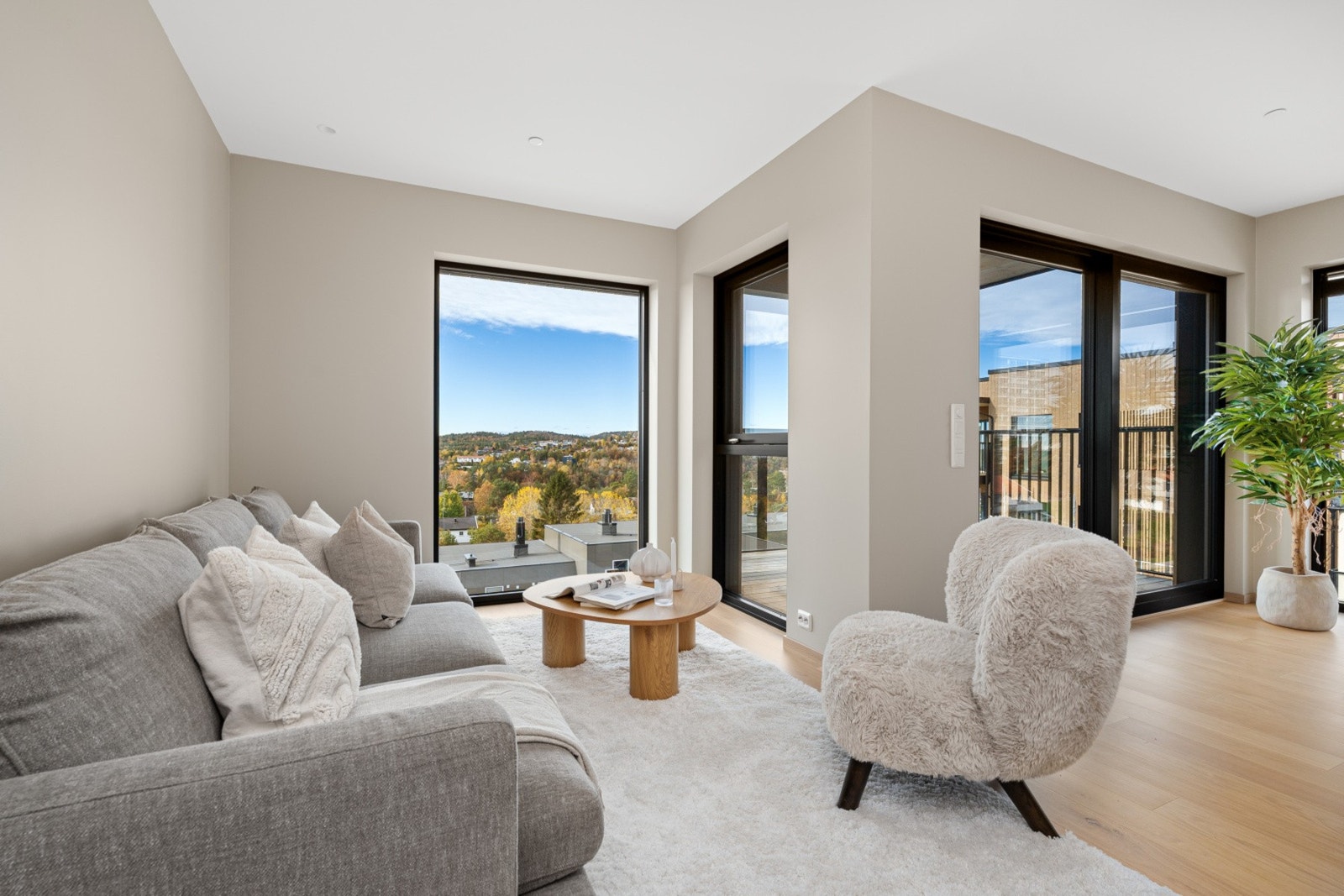 Store vindusflater Galleribilde