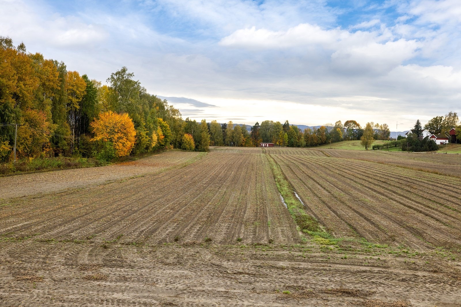 Velkommen til en hyggelig visning! Galleribilde