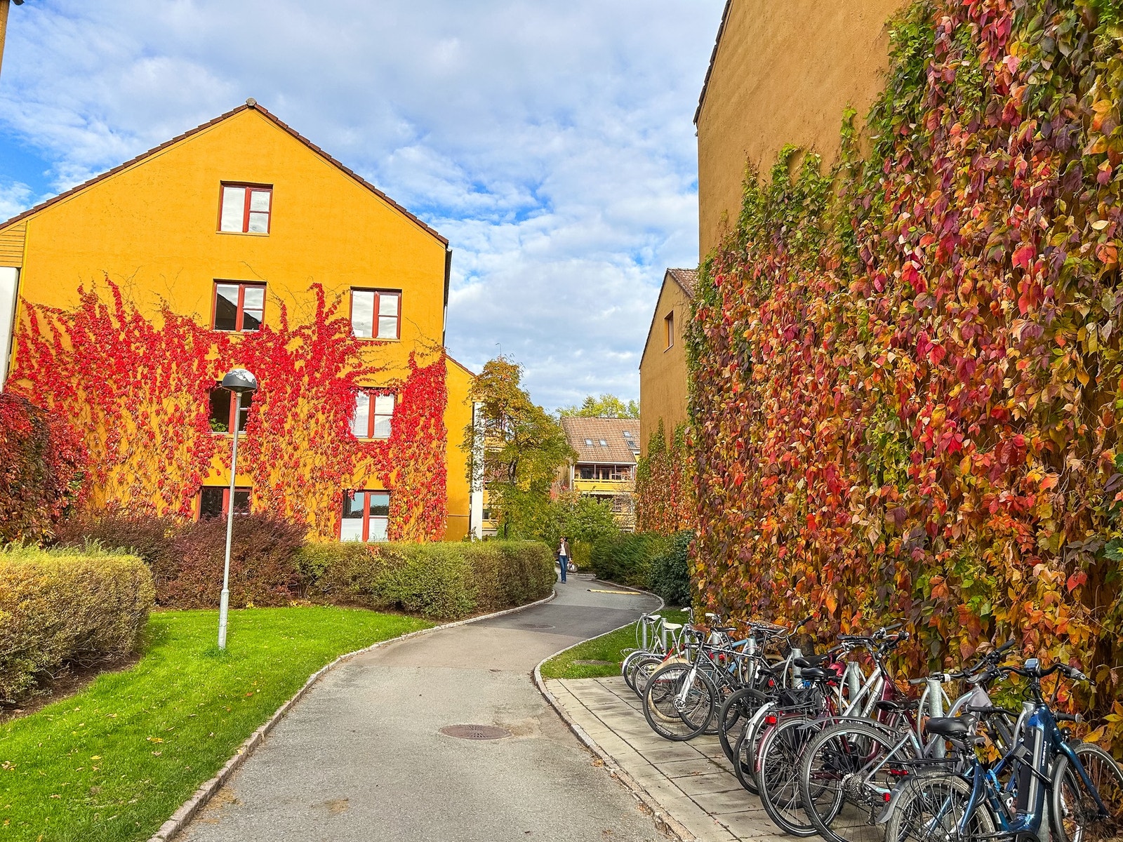Øvre Silkestrå er et svært trivelig borettslag med godt miljø for barn og voksne. Galleribilde