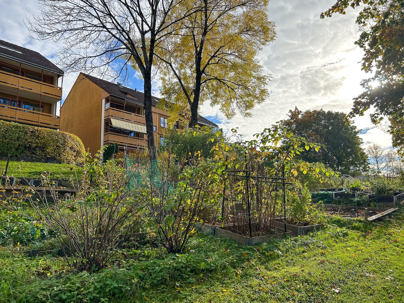 Parsellhager. Galleribilde