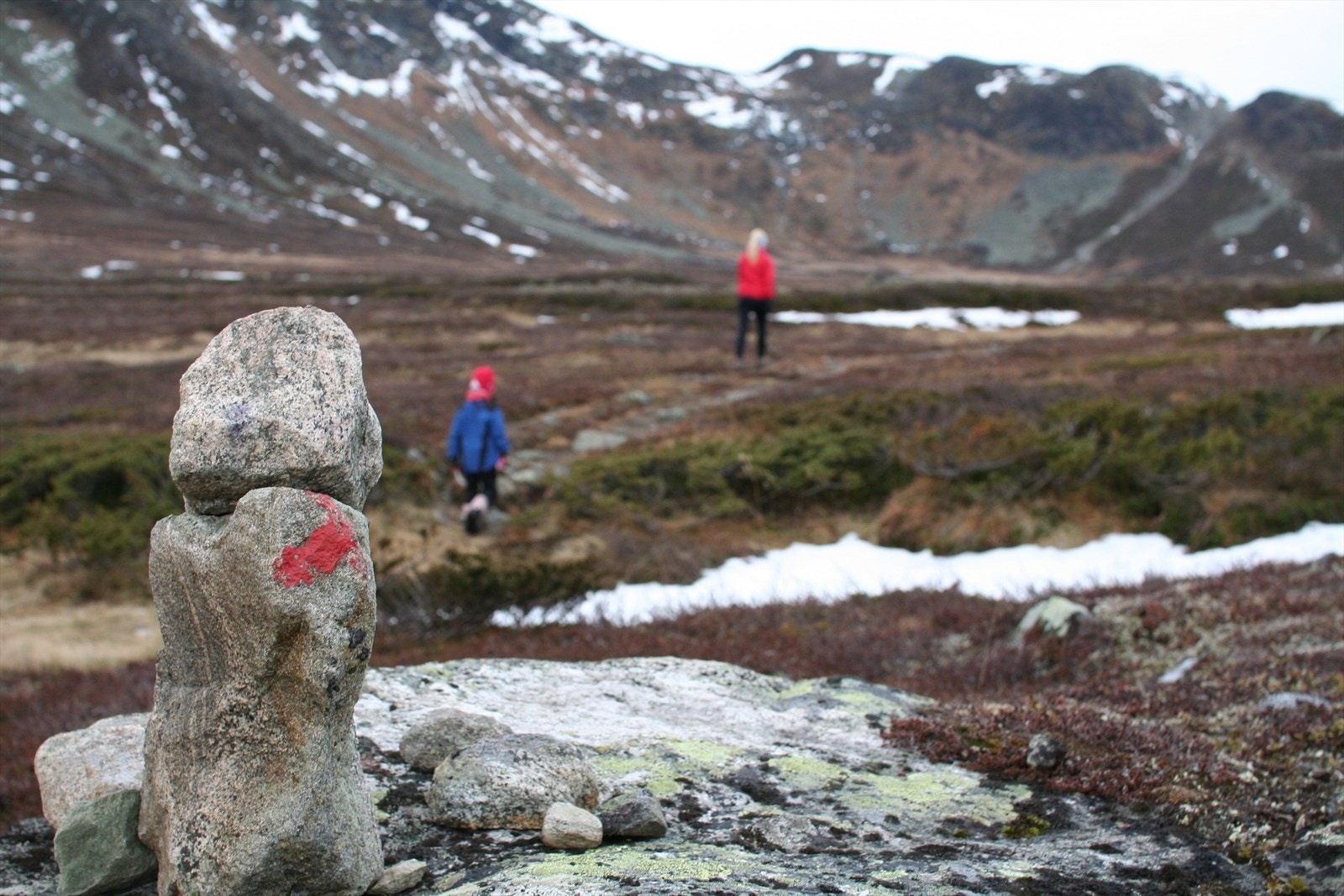 Du finner DNT merkede stier rett fra hytta. Galleribilde