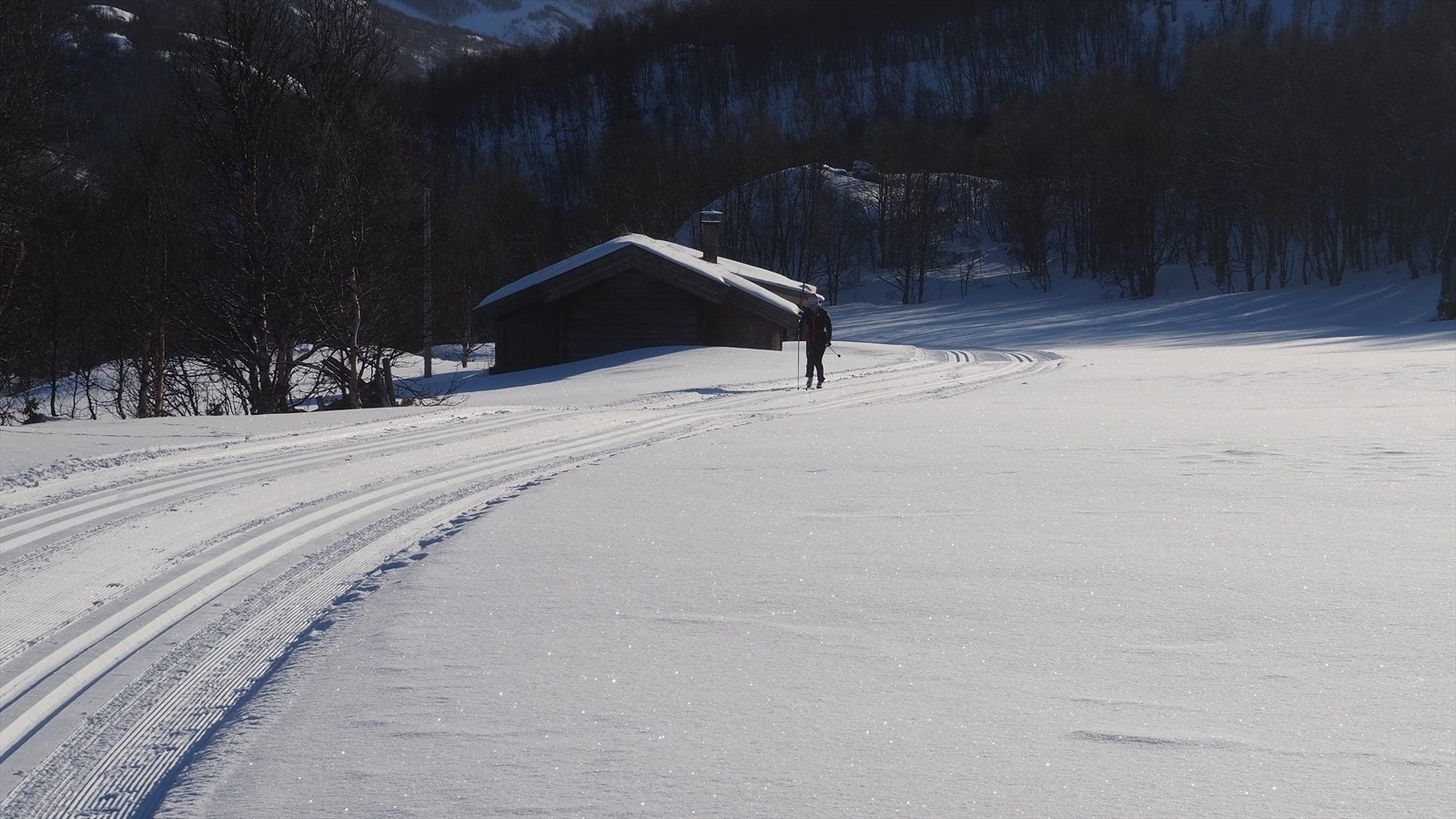 Preppede langrennsløyper rett utenfor døren. Galleribilde